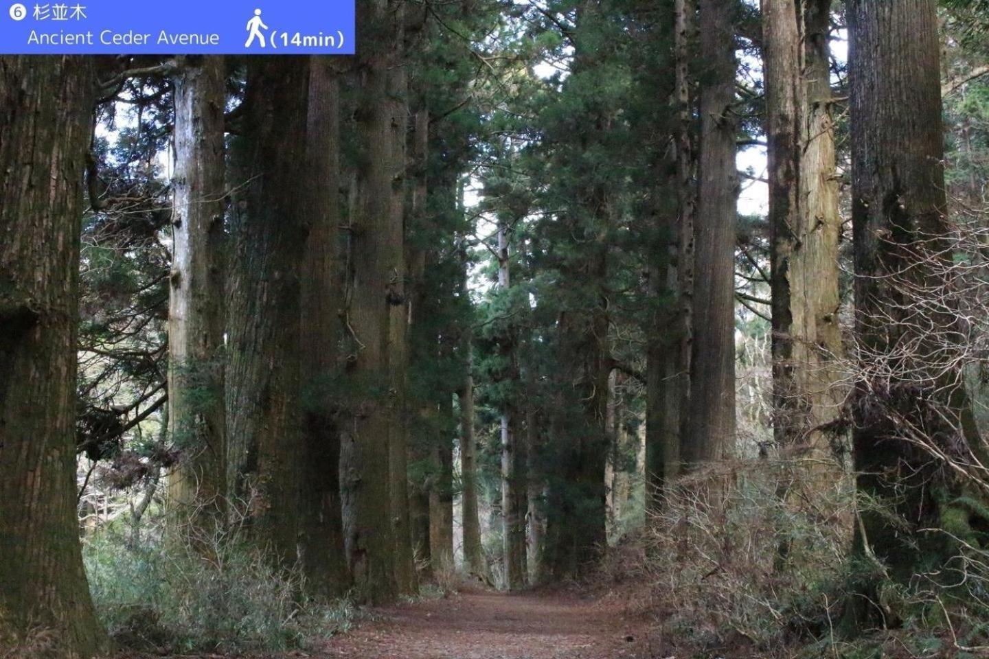 Yoichi Inn האקונה מראה חיצוני תמונה